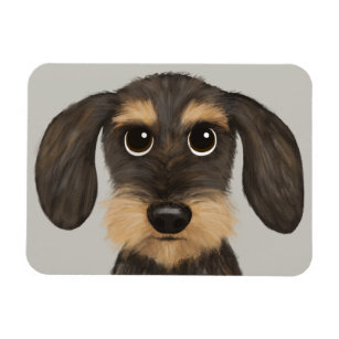 Ímã Dachshund  Cão de Cartoon Bonito Teckel