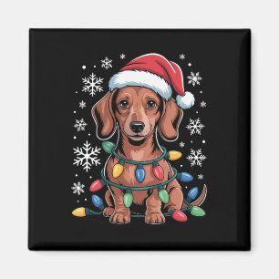 Imã Dachshund Com Papai Noel Envolvido Na Luz De Natal