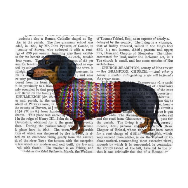 Ímã Dachshund Com Sweater Wooly (Horizontal)