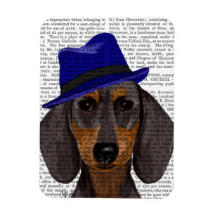 Ímã Dachshund Com Trilho Azul
