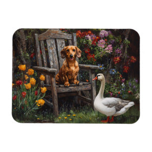Ímã Dachshund com um ganso em um jardim