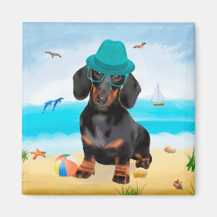 Imã Dachshund Dog em Beach