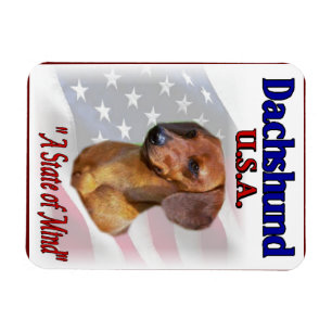 Ímã Dachshund EUA