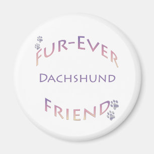 Imã Dachshund Fuore