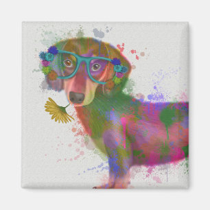 Imã Dachshund & Glass Rainbow Splash