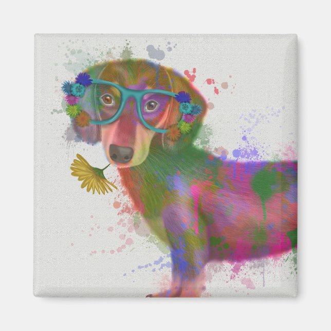 Imã Dachshund & Glass Rainbow Splash (Frente)