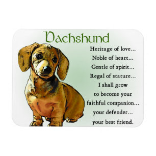 Ímã Dachshund Heritage of Love
