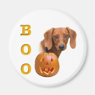 Imã Dachshund (liso) Boo