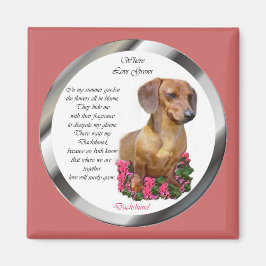 Imã Dachshund Lovers Doxie