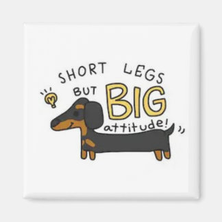 Imã Dachshund Magnet