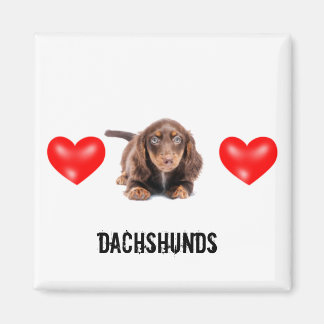 Imã Dachshund Magnet