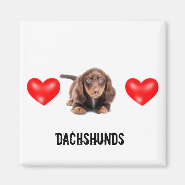 Imã Dachshund Magnet (Frente)