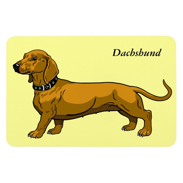Ímã dachshund marrom (Horizontal)