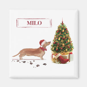 Imã Dachshund Marrom Engraçado Cachorro Natal com Árvo