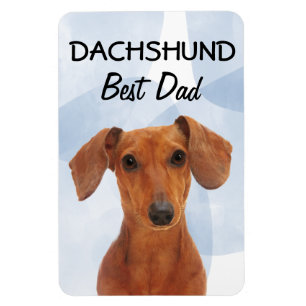 Ímã Dachshund Melhor Magnet Pai