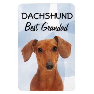 Ímã Dachshund Melhor Magneta