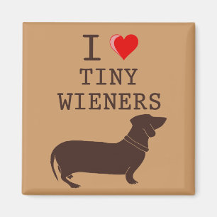 Imã Dachshund minúsculo do Wiener do amor engraçado 