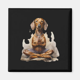 Imã Dachshund Muay Thai Boxe Caratê Kickboxing Marti