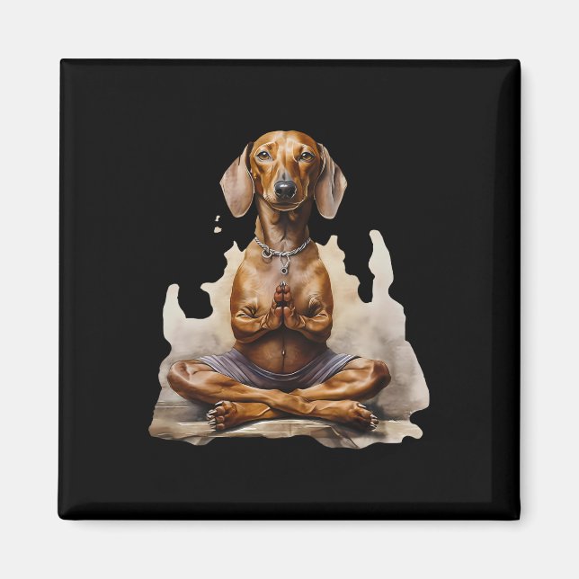 Imã Dachshund Muay Thai Boxe Caratê Kickboxing Marti (Frente)