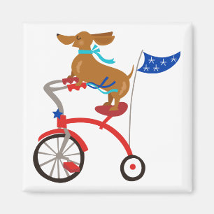 Imã Dachshund na bicicleta
