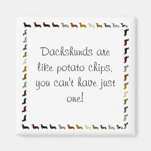 Imã Dachshund não pode ter apenas um