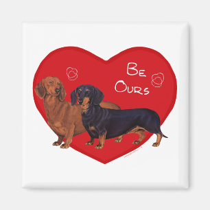 Imã Dachshund no Dia dos Namorados