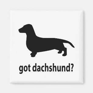 Imã Dachshund obtido