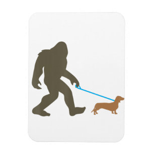 Ímã Dachshund Sasquatch Doxie Dog Gift Andando Pé Gra