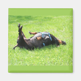 Imã Dachshund - TGIF