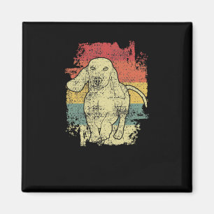 Imã Dachshund Vintage