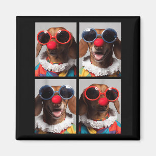 Imã Dachshunds Com Óculos de Sol Animais de Palhaço Ha