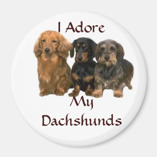 Imã Dachshunds eu Adore o ímã