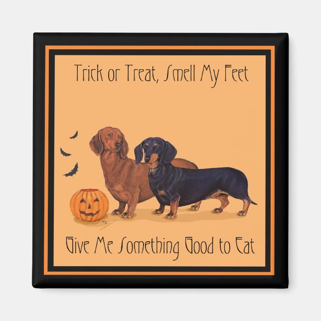 Imã Dachshunds Halloween (Frente)