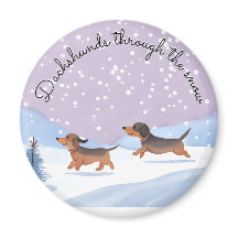 Dachshunds Neve Fofo Cachorro Salsicha Doxie Natal