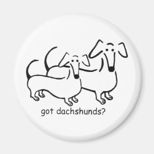 Imã dachshunds obtidos? Ímã
