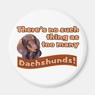 IMÃ DACHSHUNS