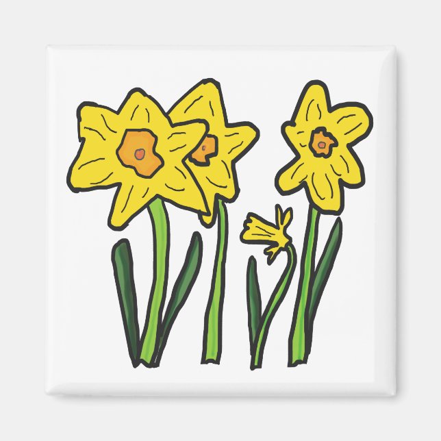 Imã Daffodil (Frente)