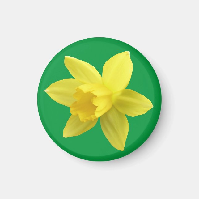 Imã Daffodil Amarelo em Verde (Frente)