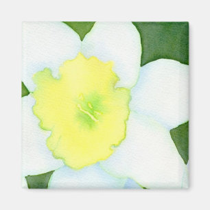 Imã Daffodil Magnet