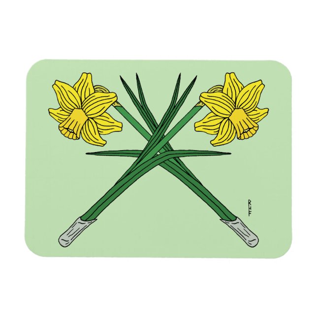 Ímã Daffodils cruzado (Horizontal)