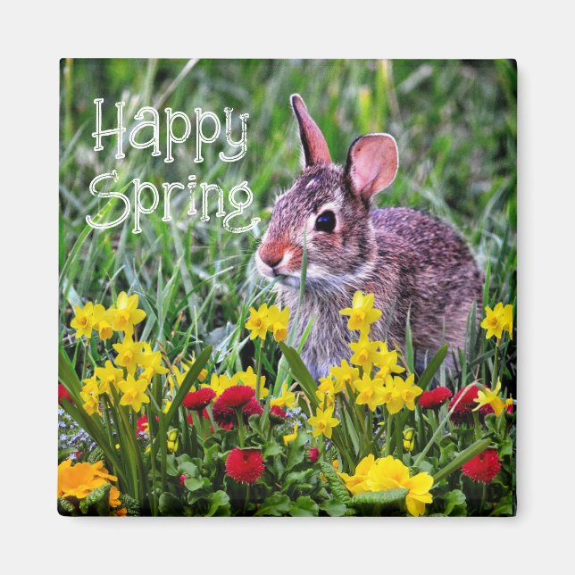 Imã Daffodils e wILD Rabbit Magnet (Frente)