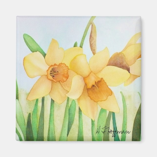 Imã Daffodils Magnet (Frente)