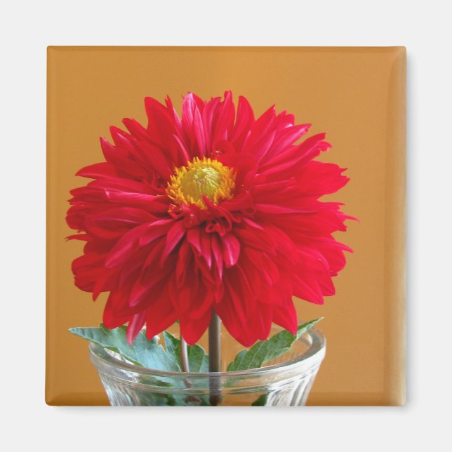 Imã Dahlia (Frente)