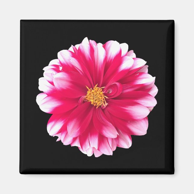 Imã Dahlia (Frente)