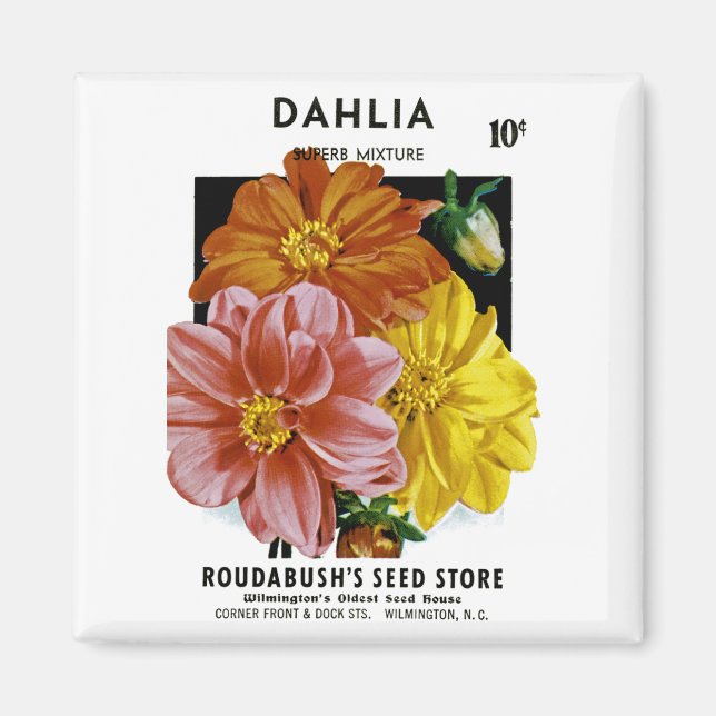 Imã Dahlia Vintage Seed Packet (Frente)