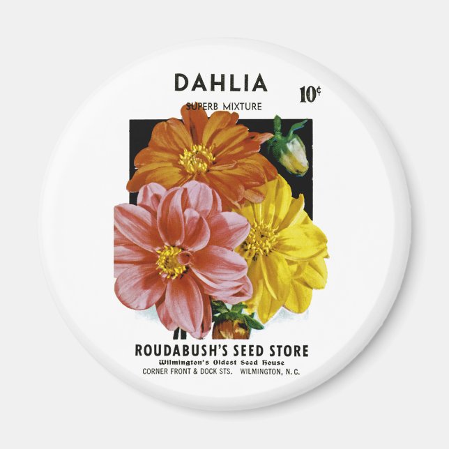 Imã Dahlia Vintage Seed Packet (Frente)