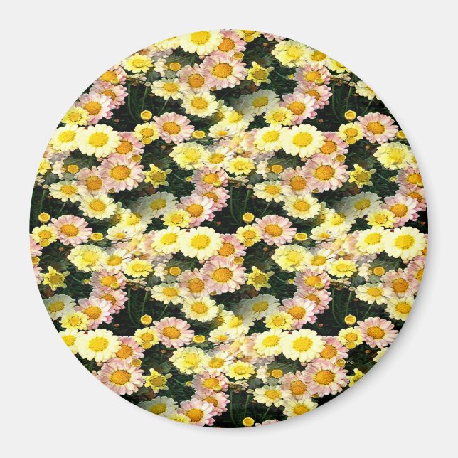 Imã Daisies Galore...... (Frente)