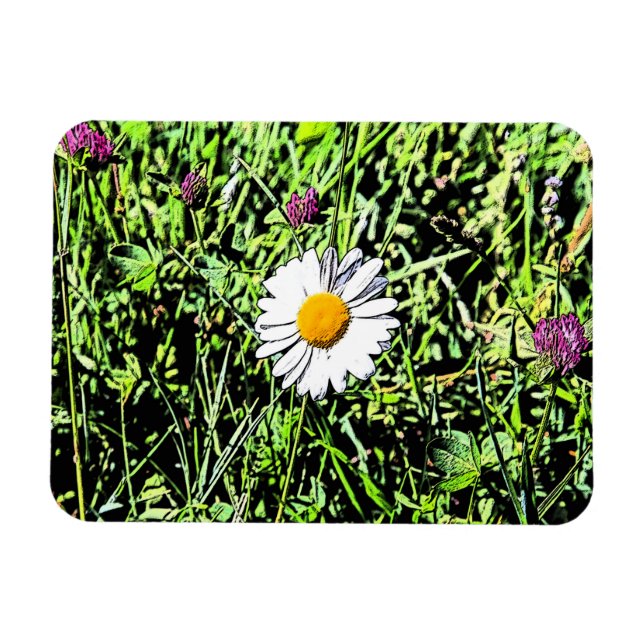Ímã Daisy (Horizontal)