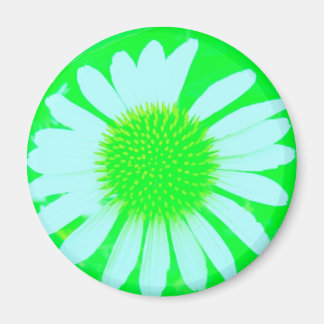 Imã Daisy Crazy Green & White Daisy Magnet