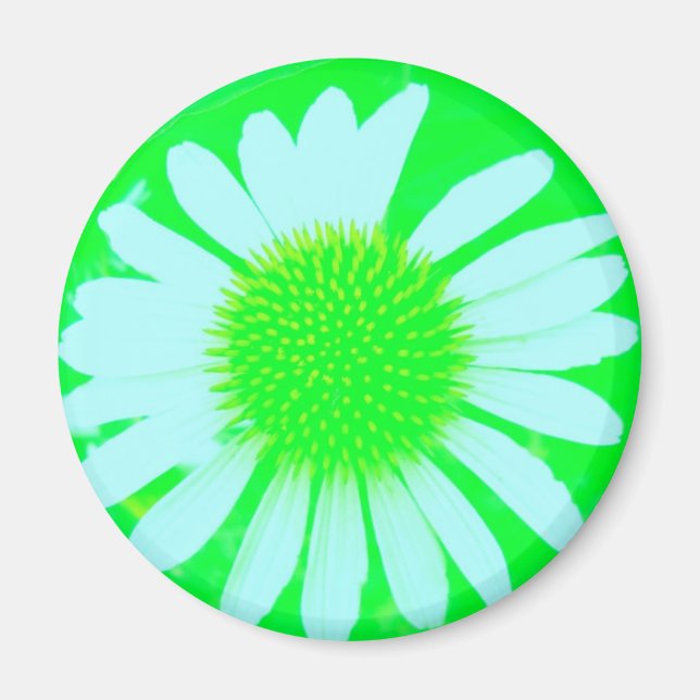 Imã Daisy Crazy Green & White Daisy Magnet (Frente)